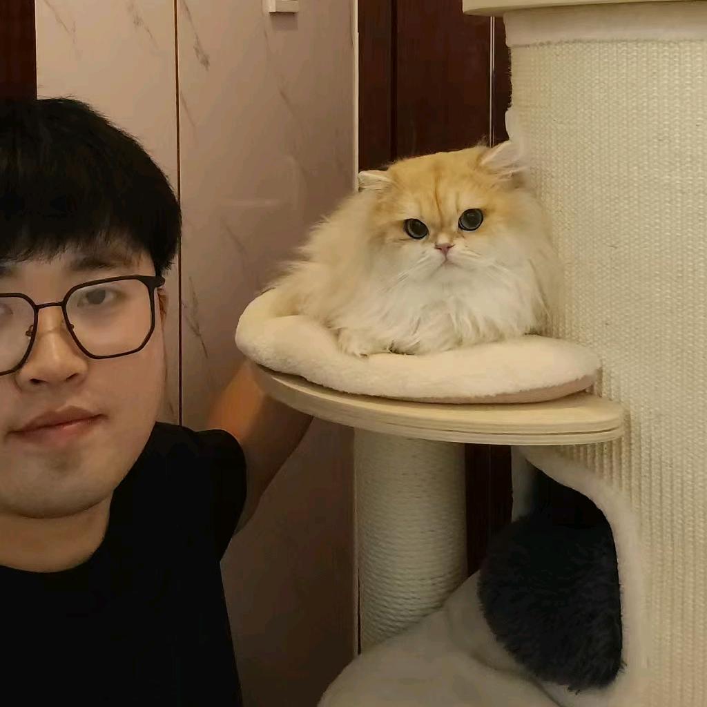 小巩猫舍直播号