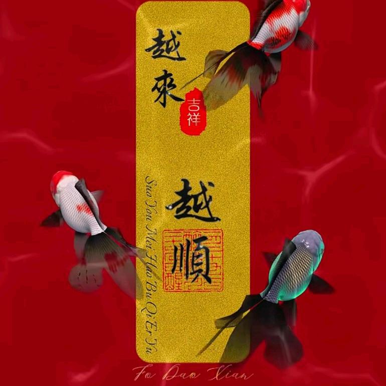纵横四海