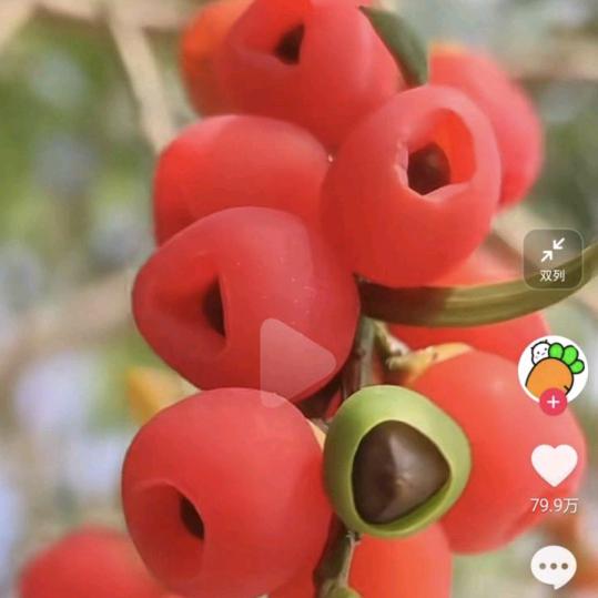 抖音号，，1873749637陈