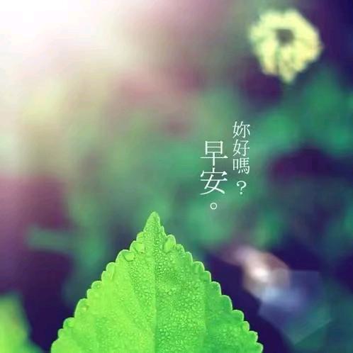 皓🈷️