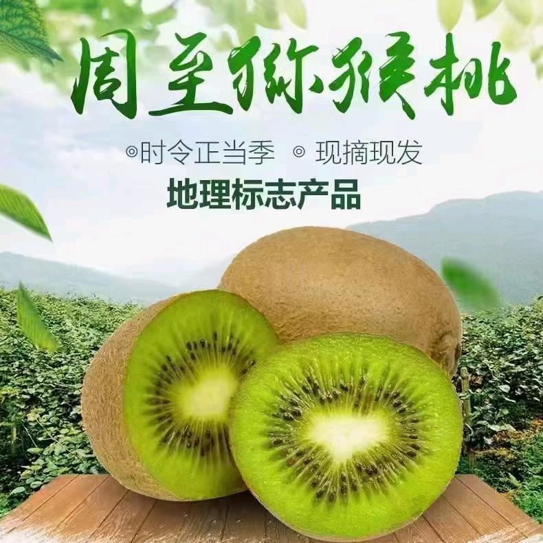 是胡不是霍