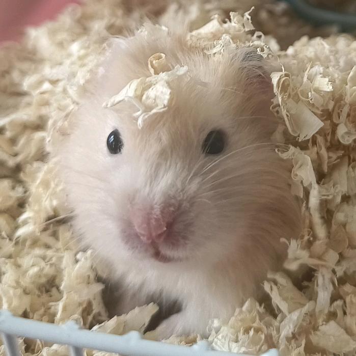 睡个好觉