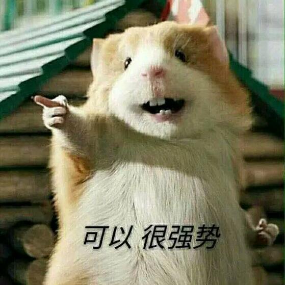 800公斤的喵
