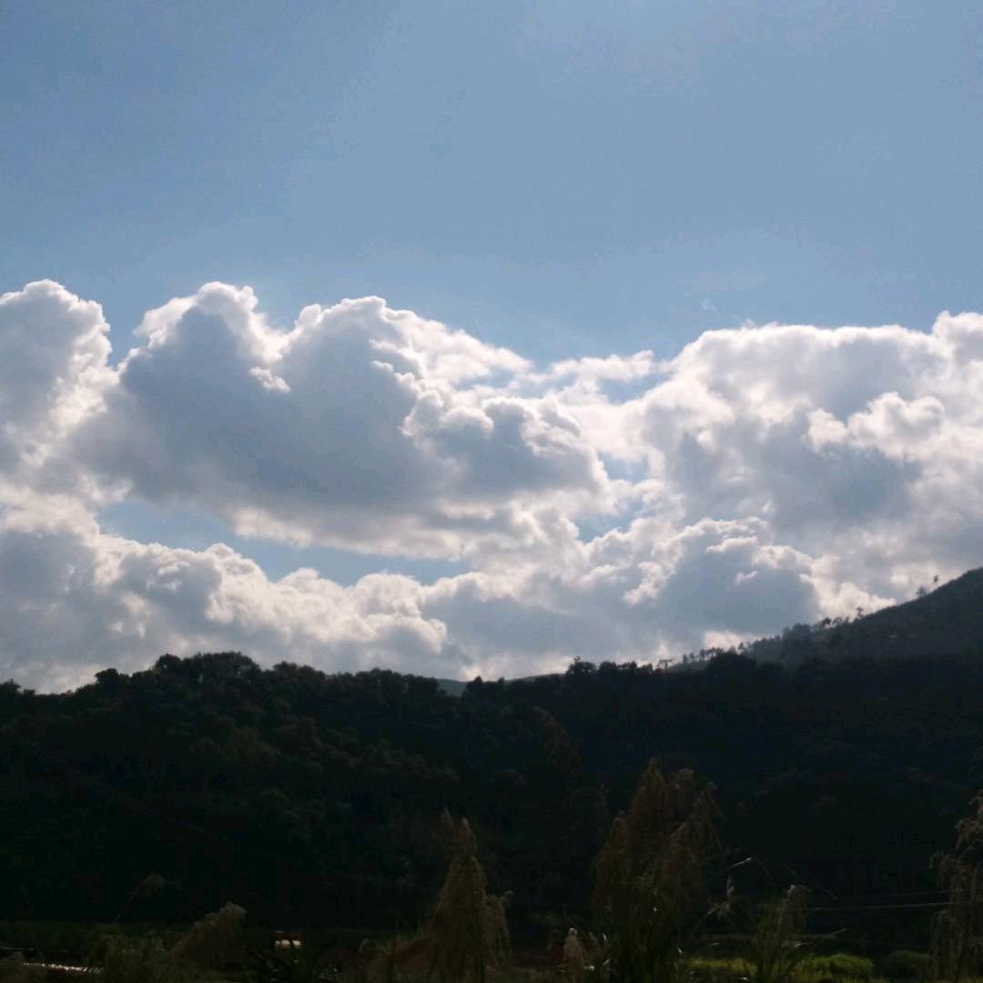小龙虾