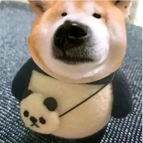 不缺觉