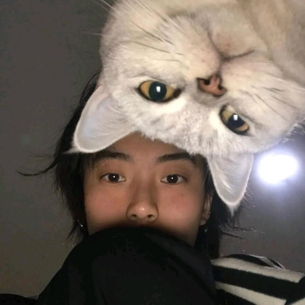 小淳