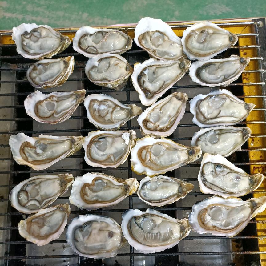 蚝门☞烧烤生蚝，铁板鱿鱼☜