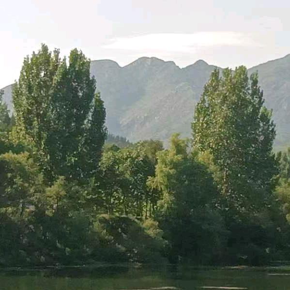 平静如水