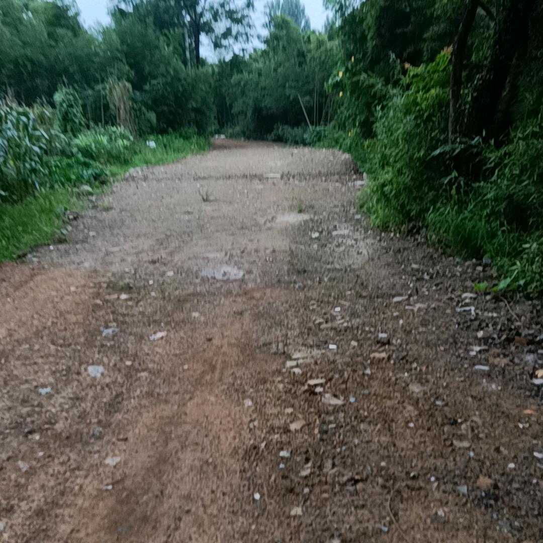 敏