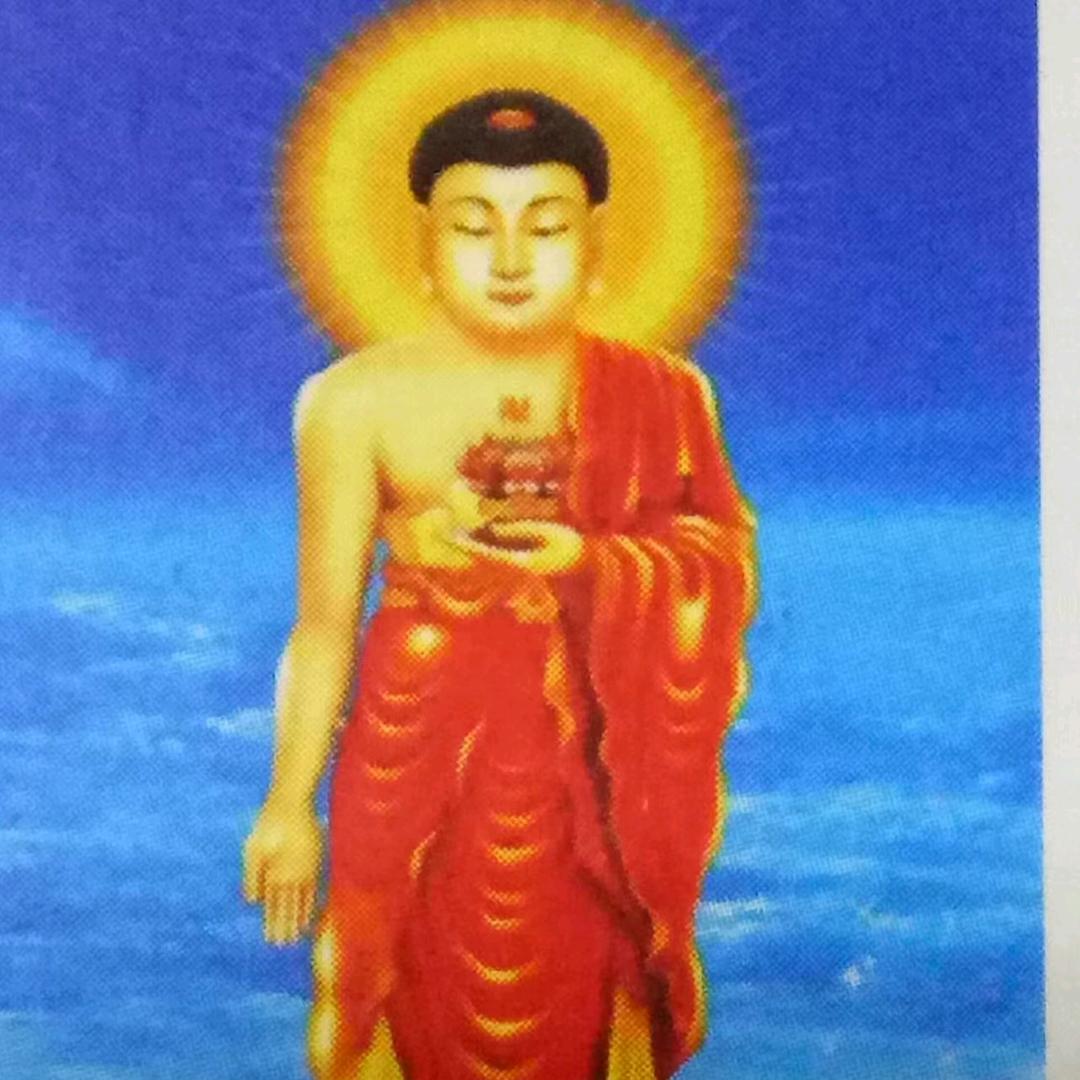 强哥｀