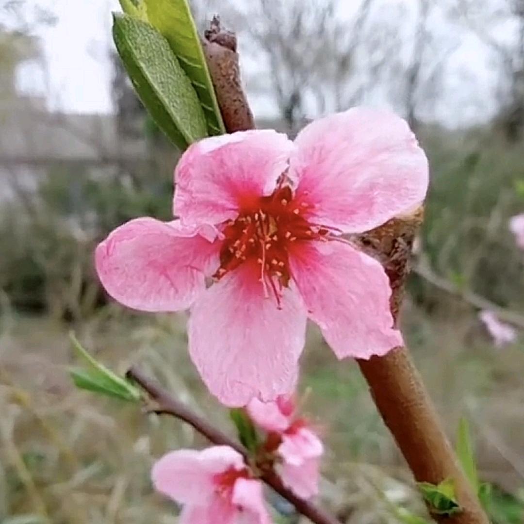 刘朱ℒℴѵℯ幸福