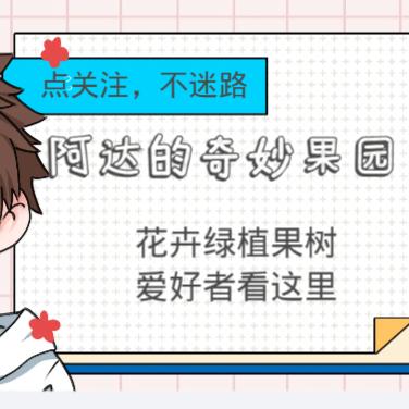 阿达的奇妙果园