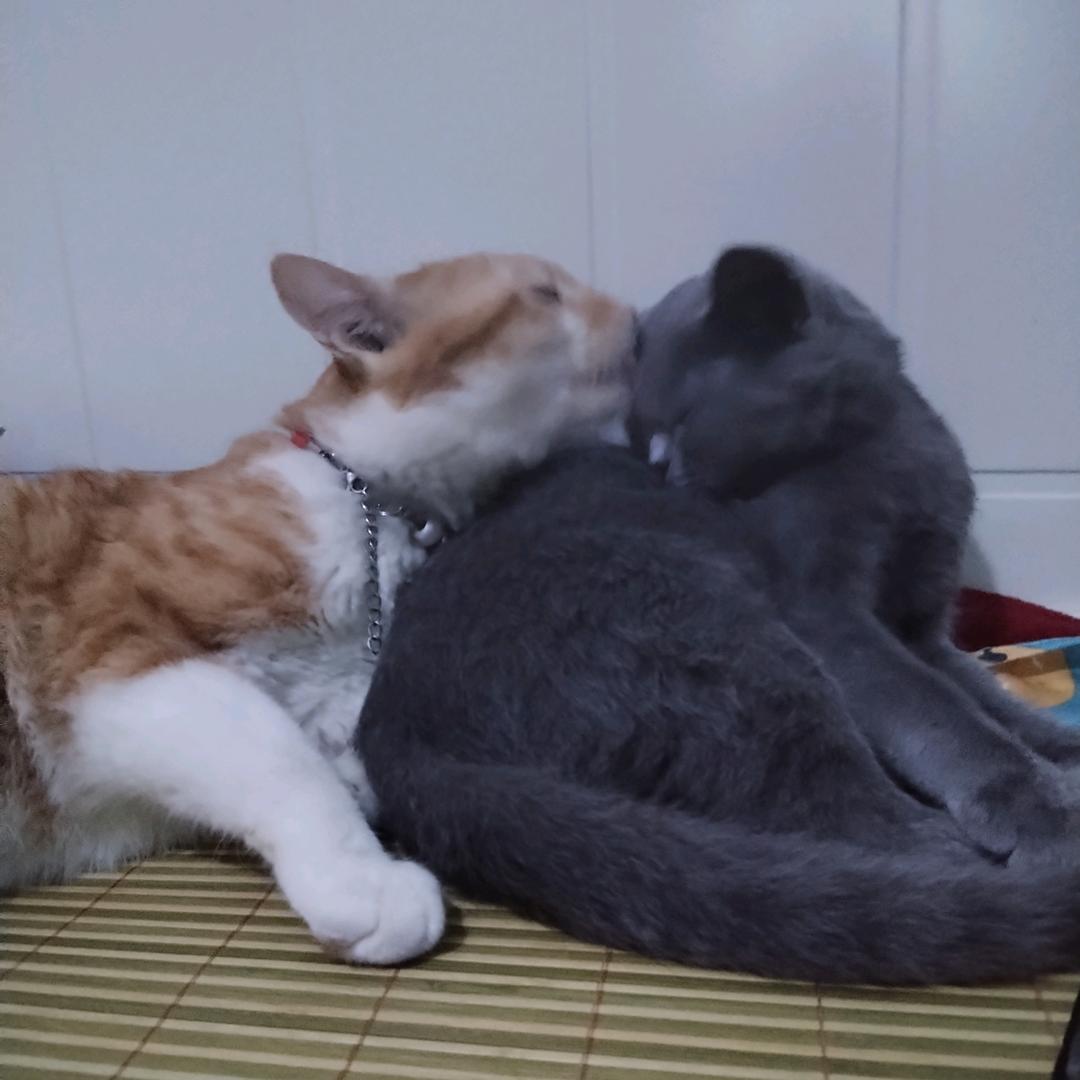 一生一世⊙ω⊙