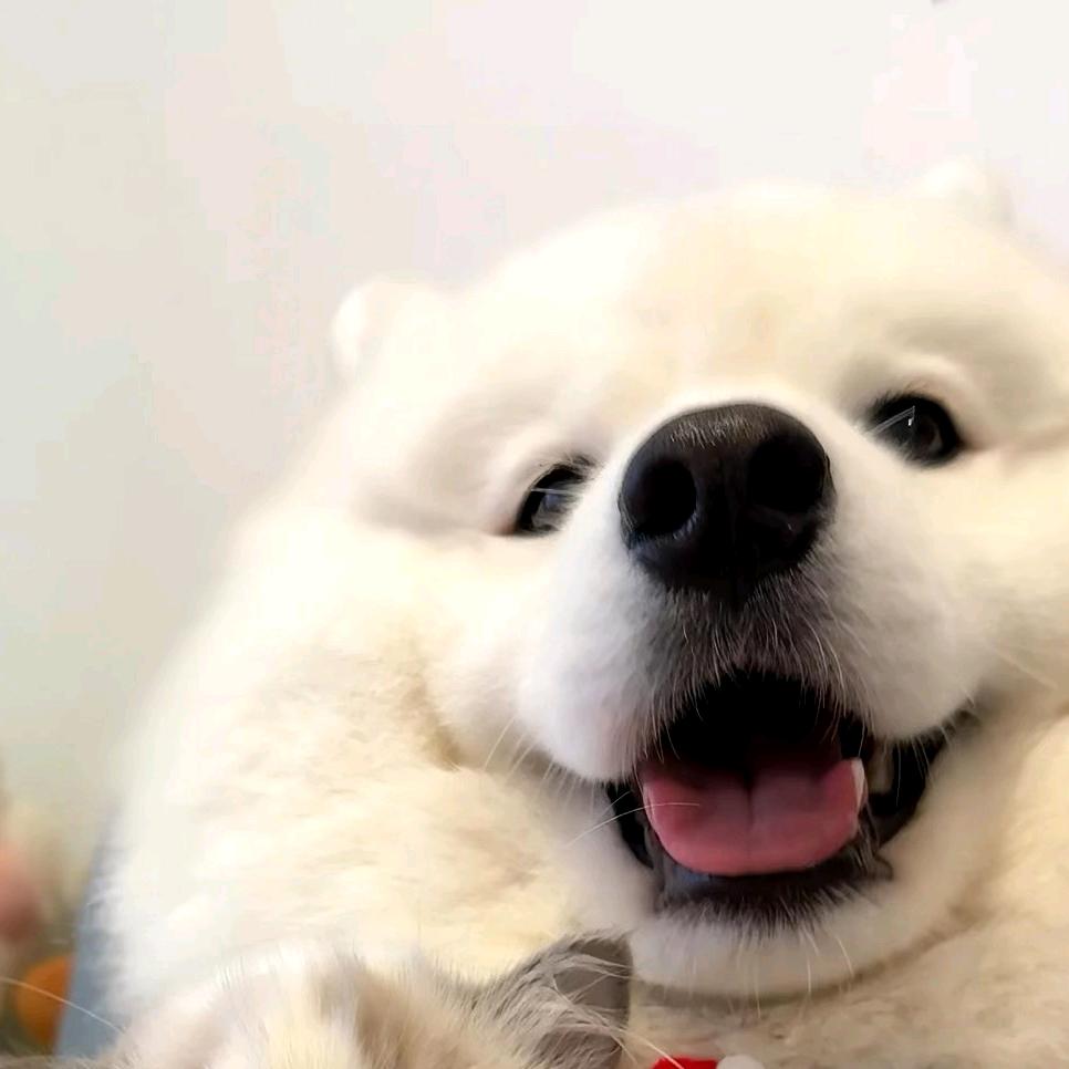 旺仔