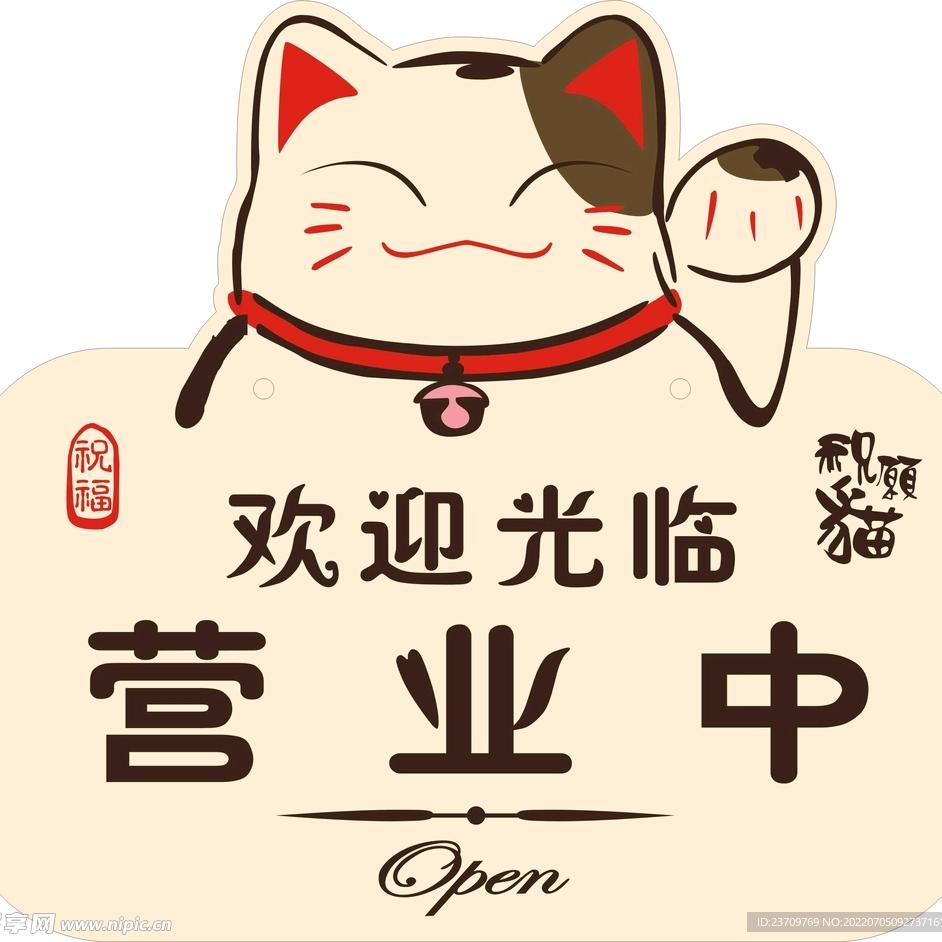 小静卤味   地摊炒鸡