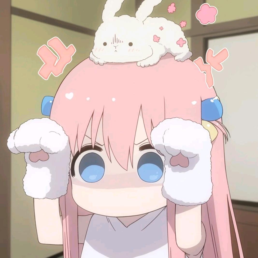 兔老大