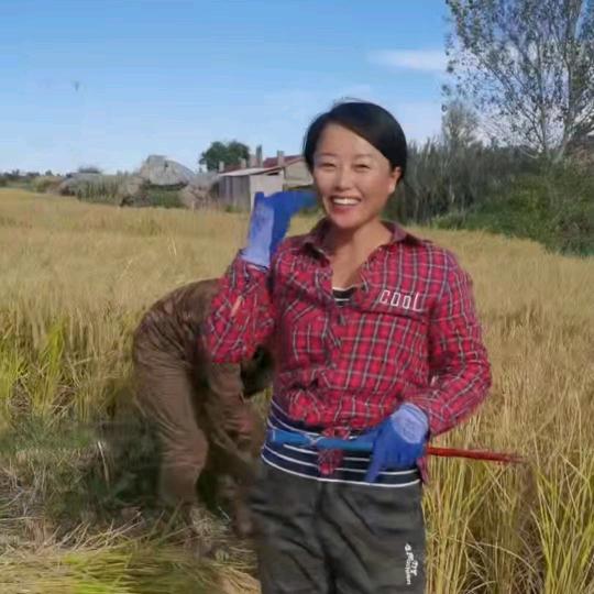 东北丫头小号