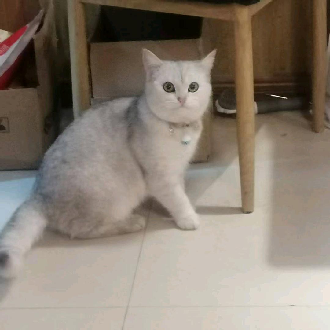 (^-^)平安@是福(^-^)