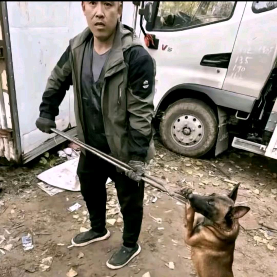 AAA专业套狗赵师傅