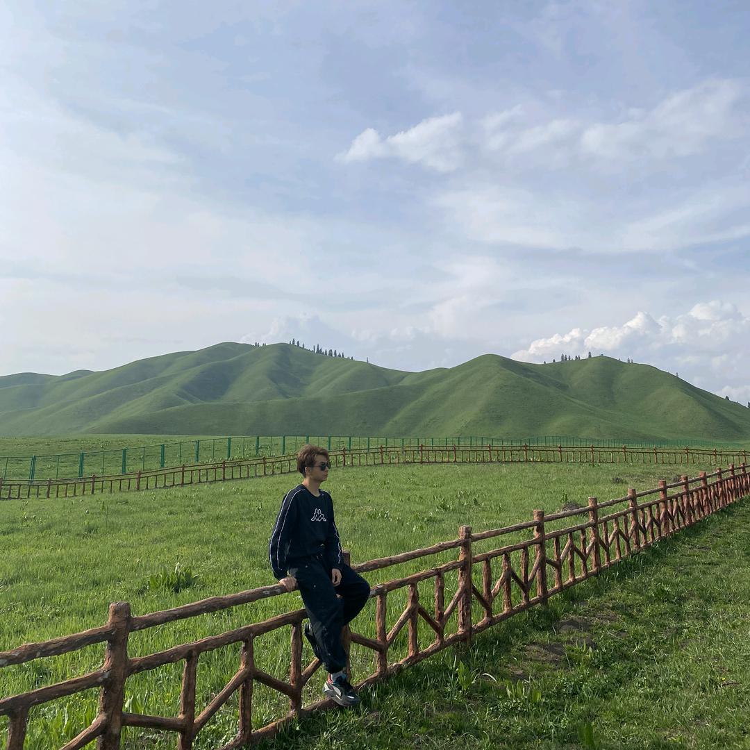 令令