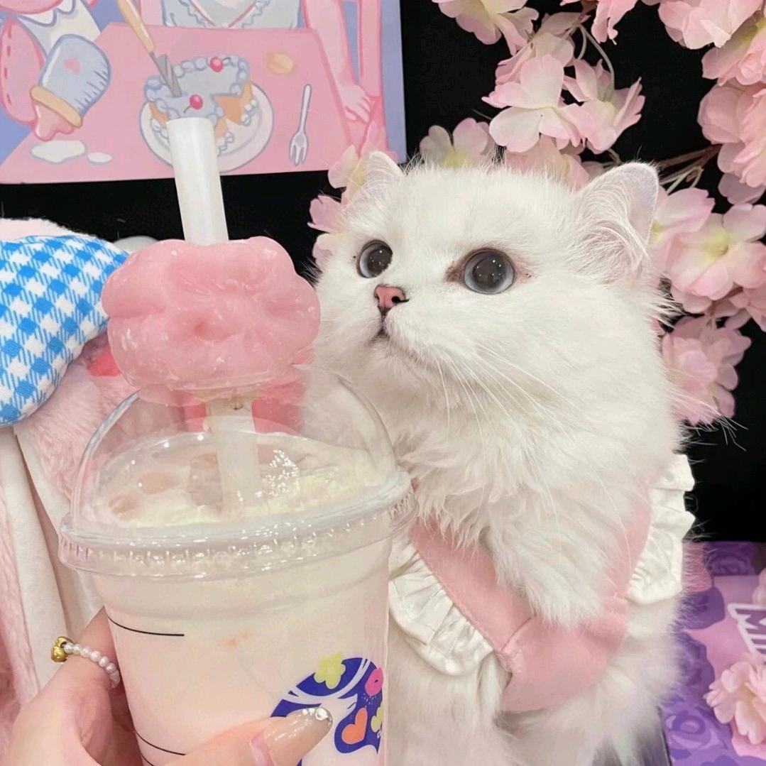 甜甜○
