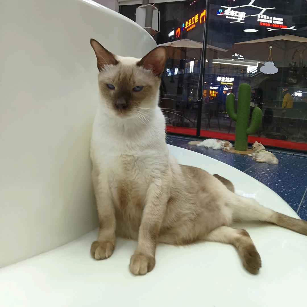 美巢潮玩馆