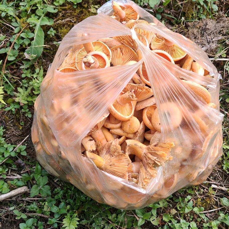 简单一丢~:30饱就行