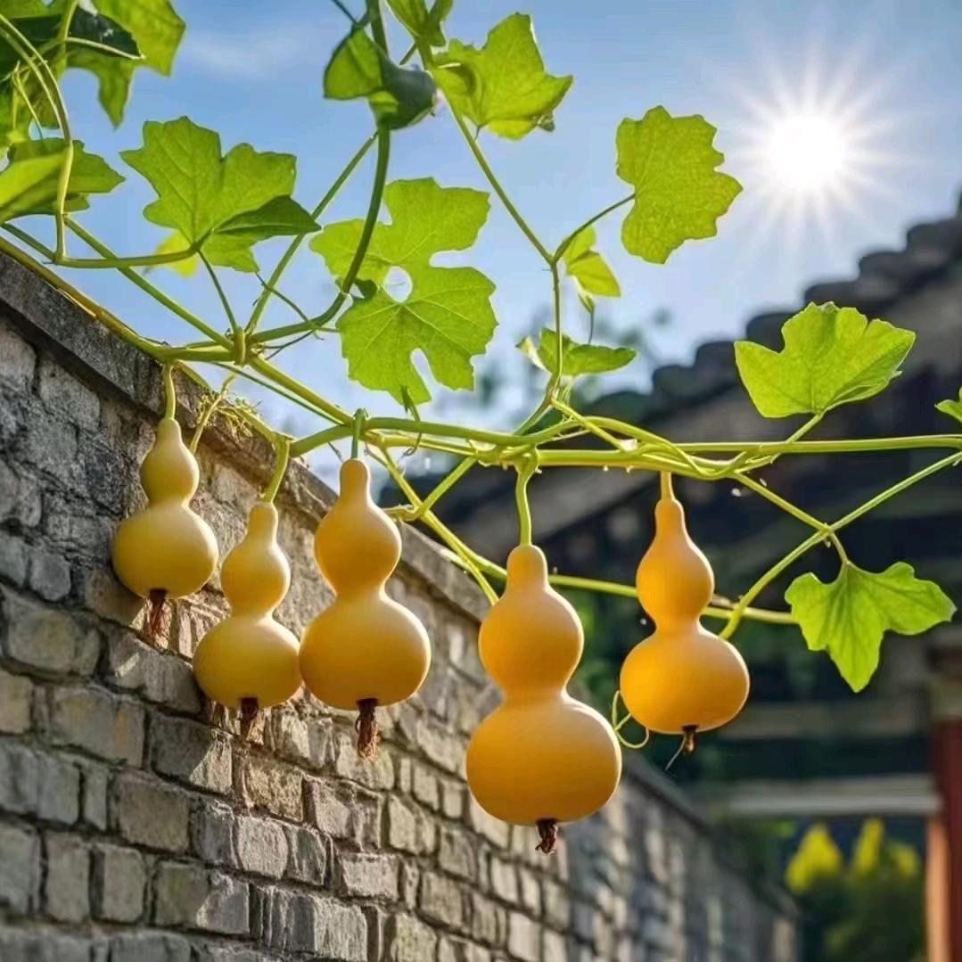 和光同尘🍀