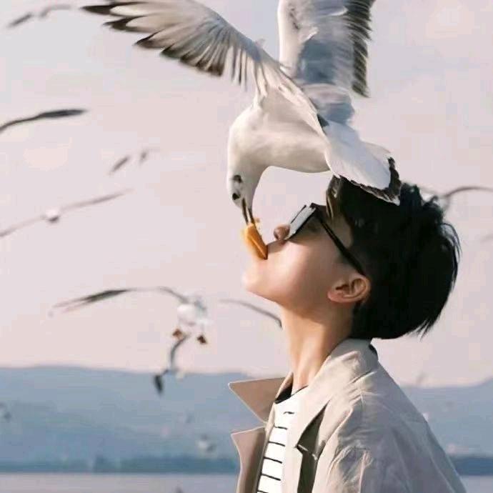 今天你学习了吗