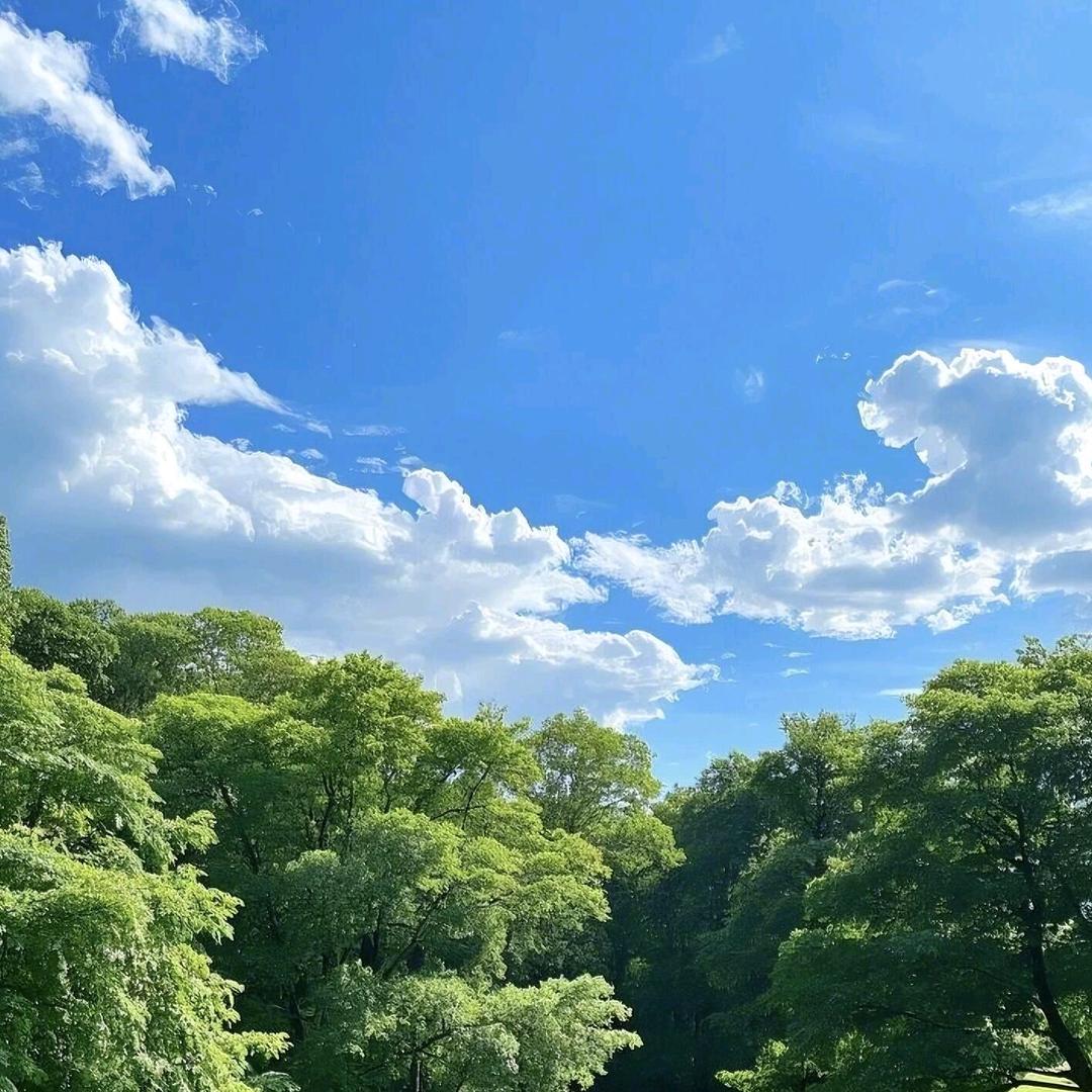 小小
