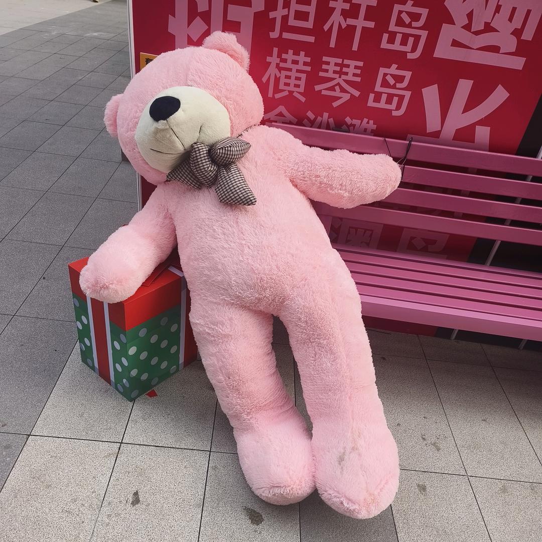 小骆驼👤