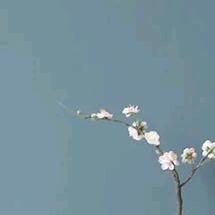 即将注销
