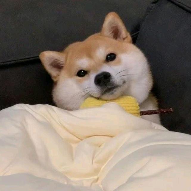 🌈🌈醉梦中的一刀