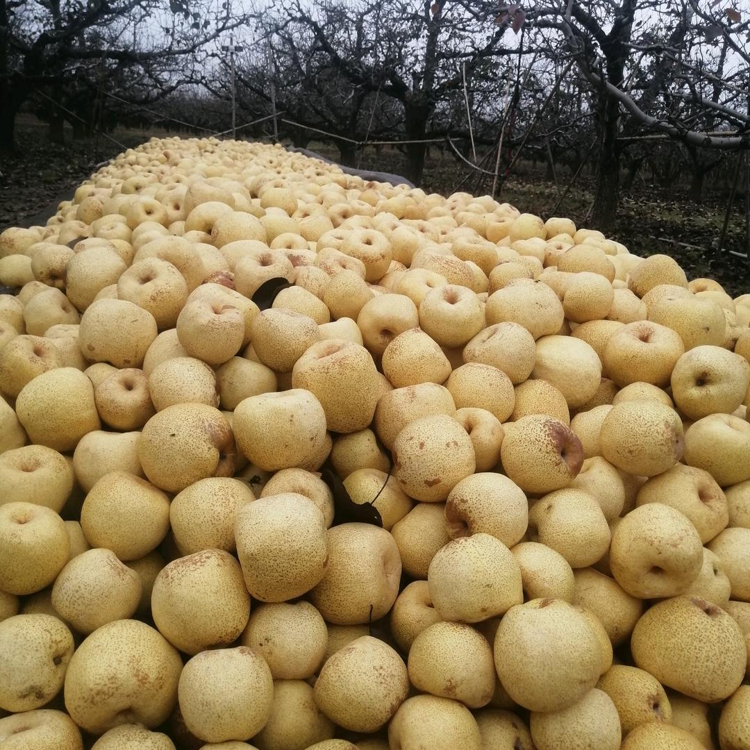 （春夏秋冬一世琼）