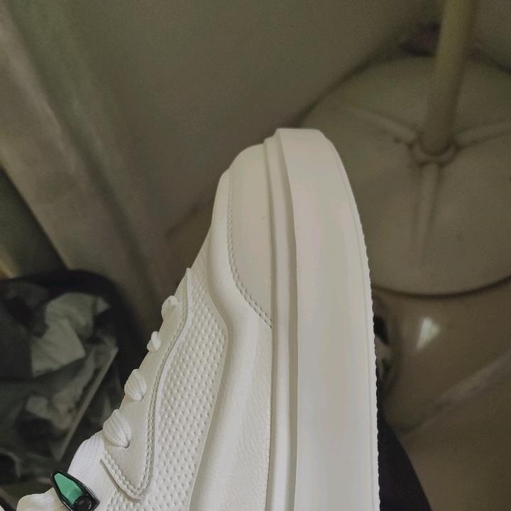 科隆