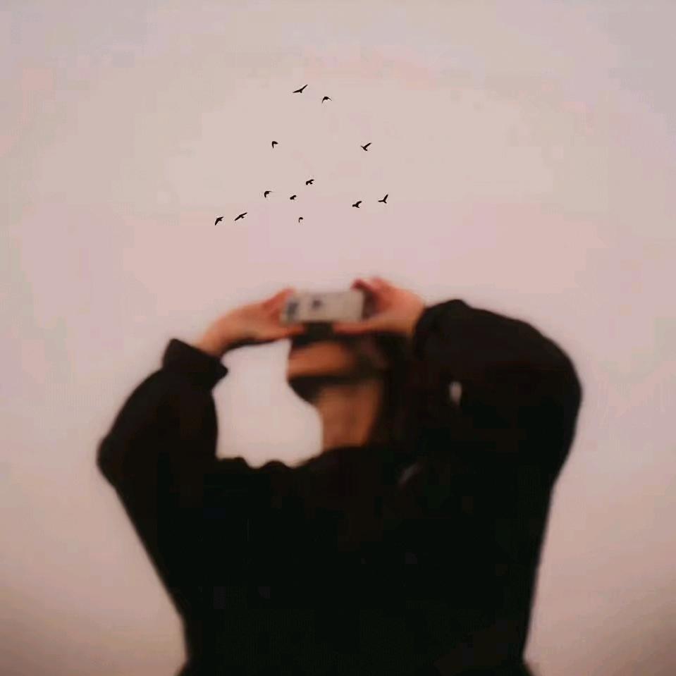 Gemini⚡️