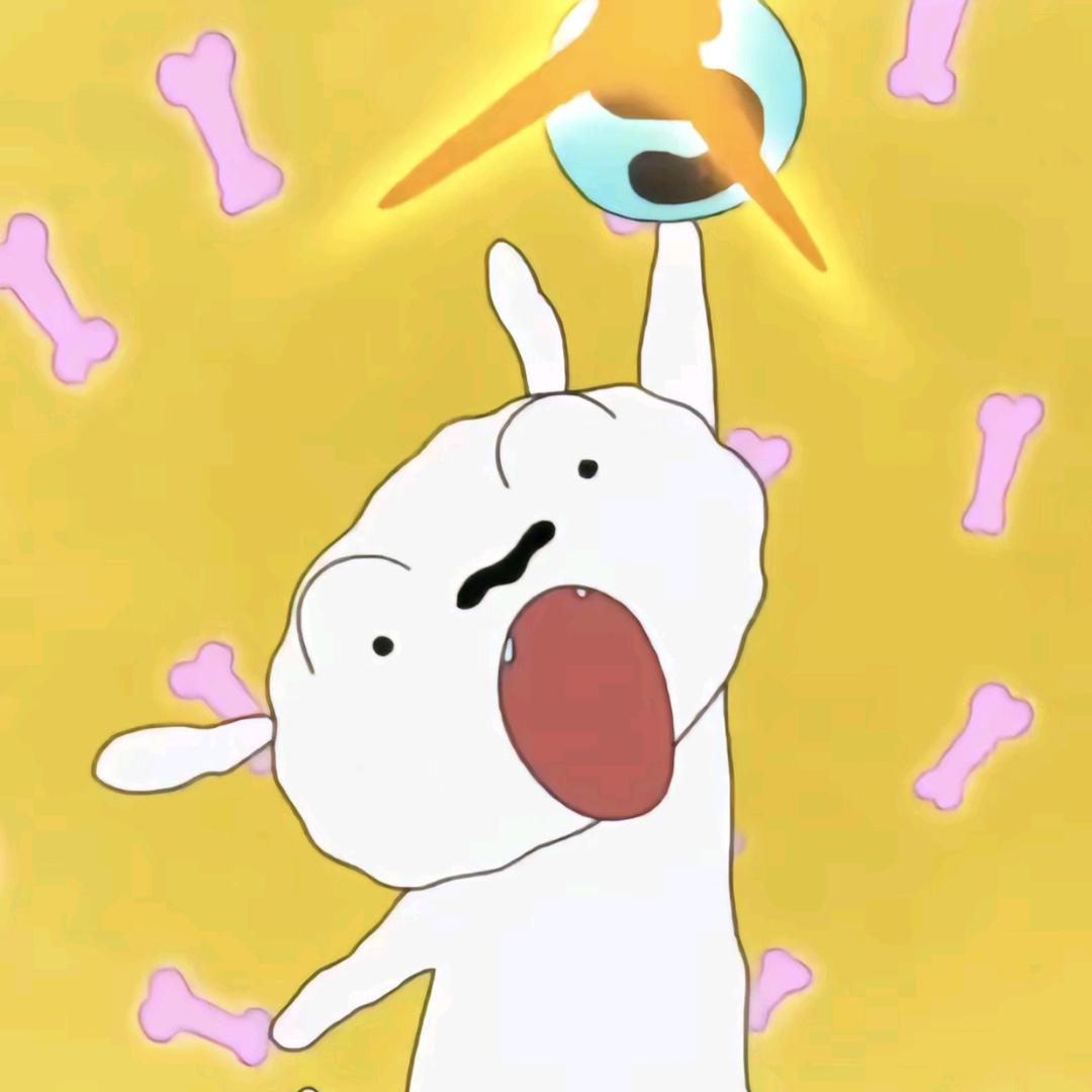 野原小白