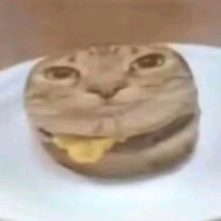 趴趴咳