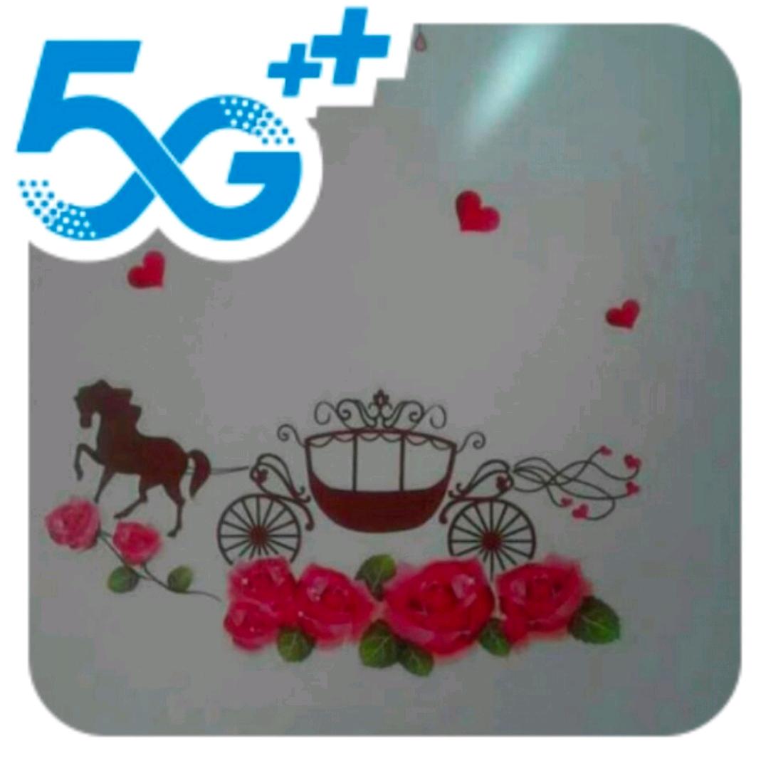 马鞍山市雨山区天骥数码通讯经营部