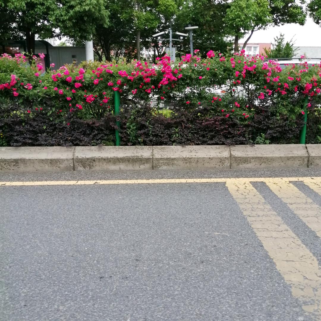 我心太软了