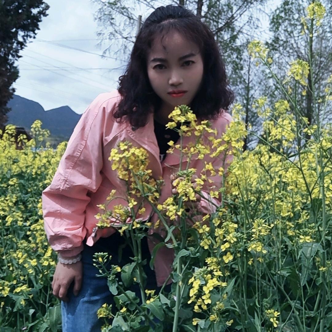 @楠木青城