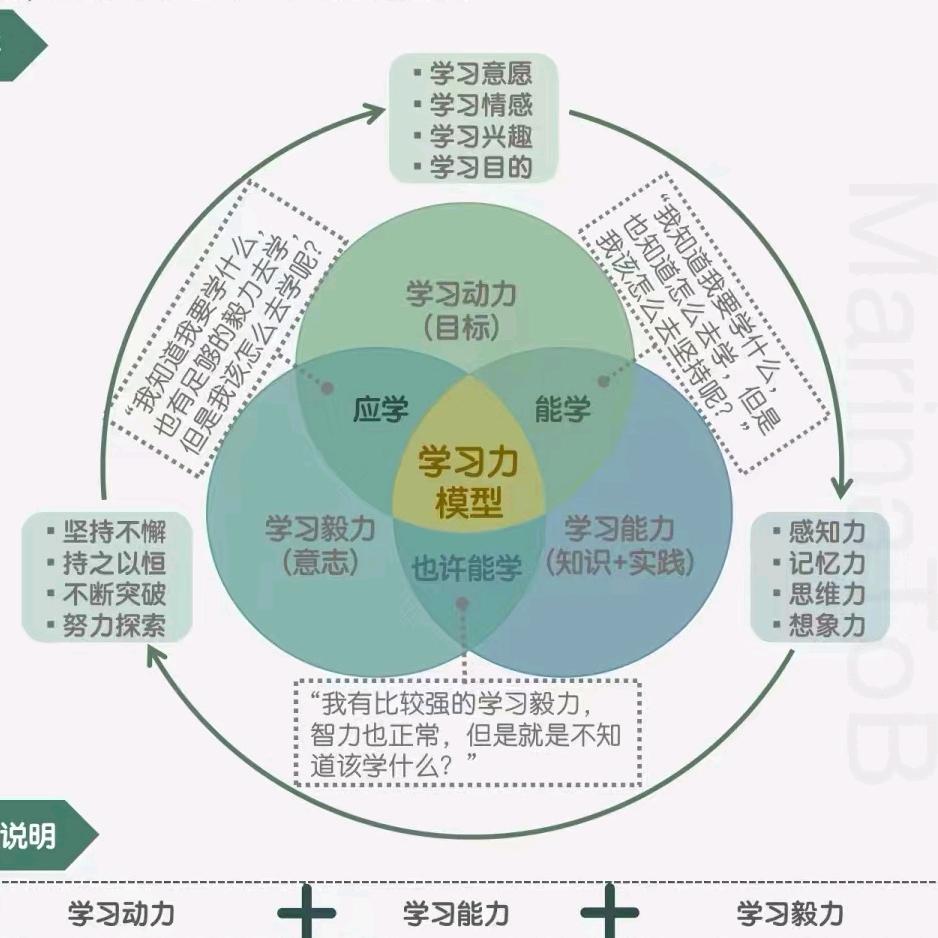 扇子姐