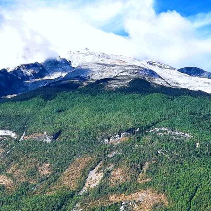 开心快乐大本营