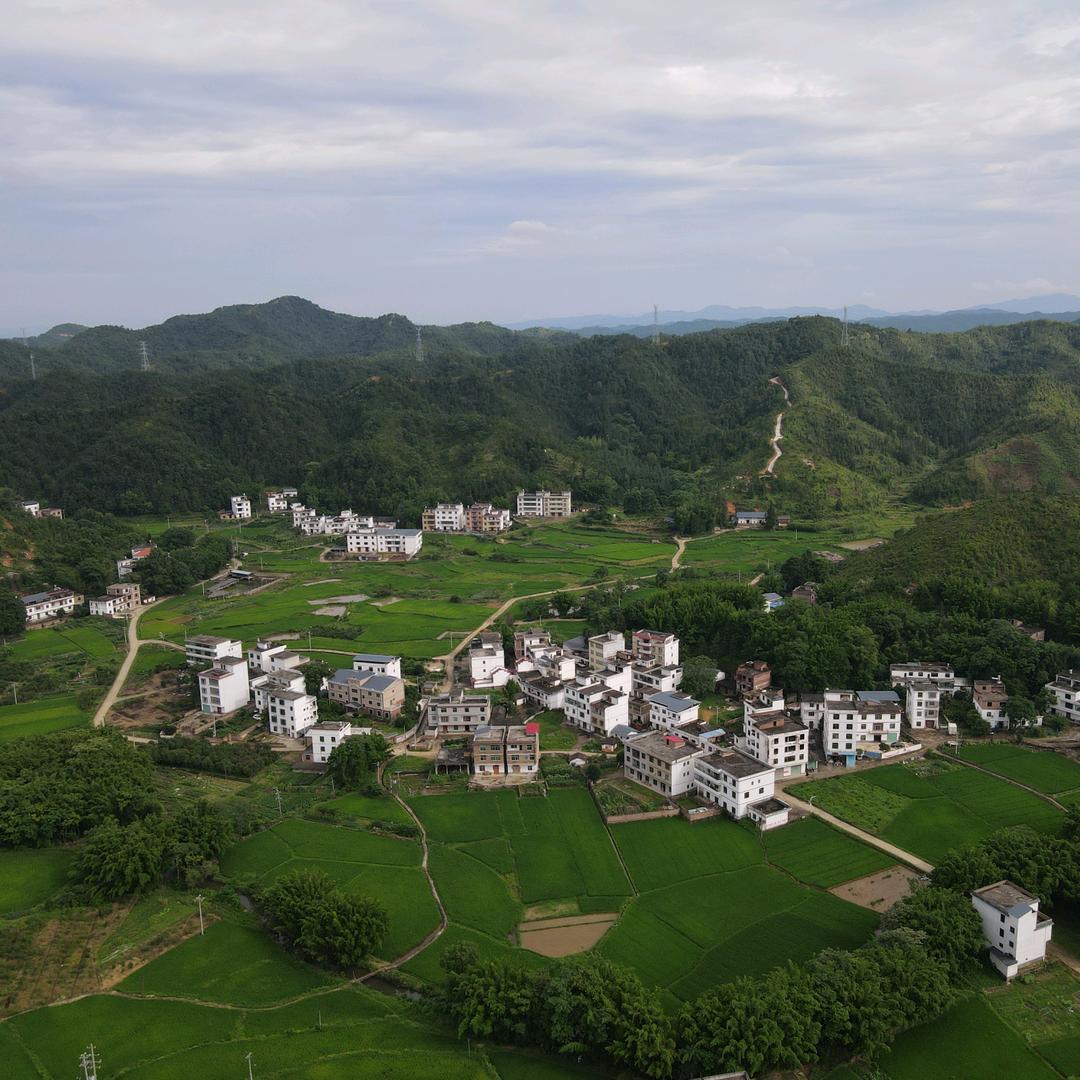 丰岗村供销合作社