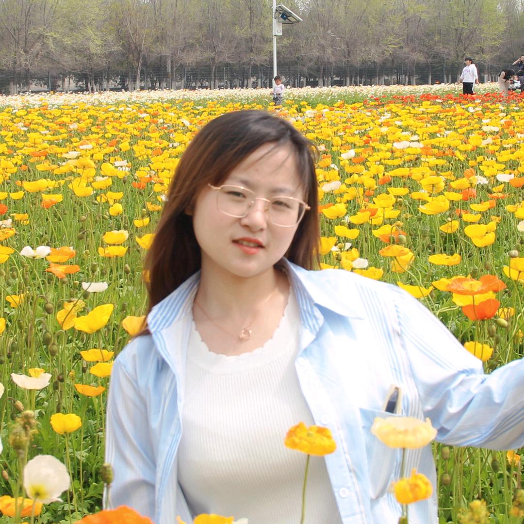 同洛洛