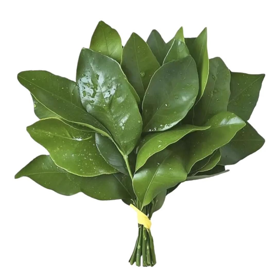 景明
