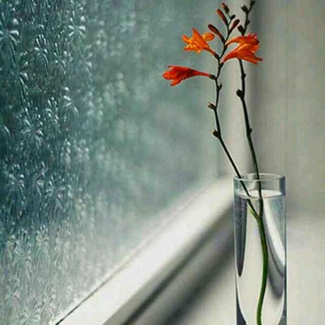 听雨526