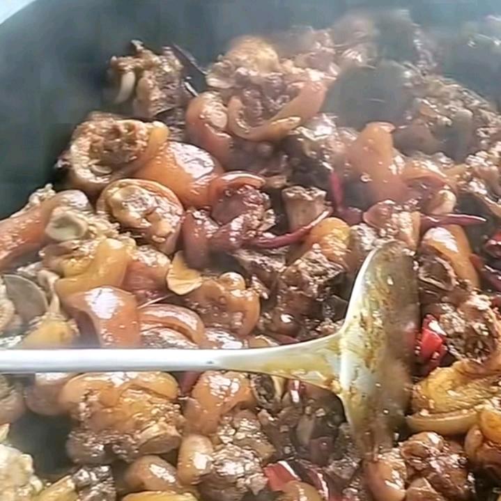 臻果家政马老师