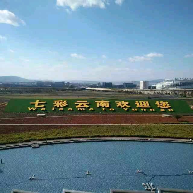 顺庆(手机拍摄)记录生活！