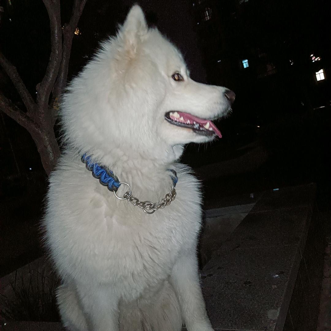 好人一生平安，